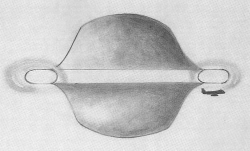 Jal1628Ufoschets