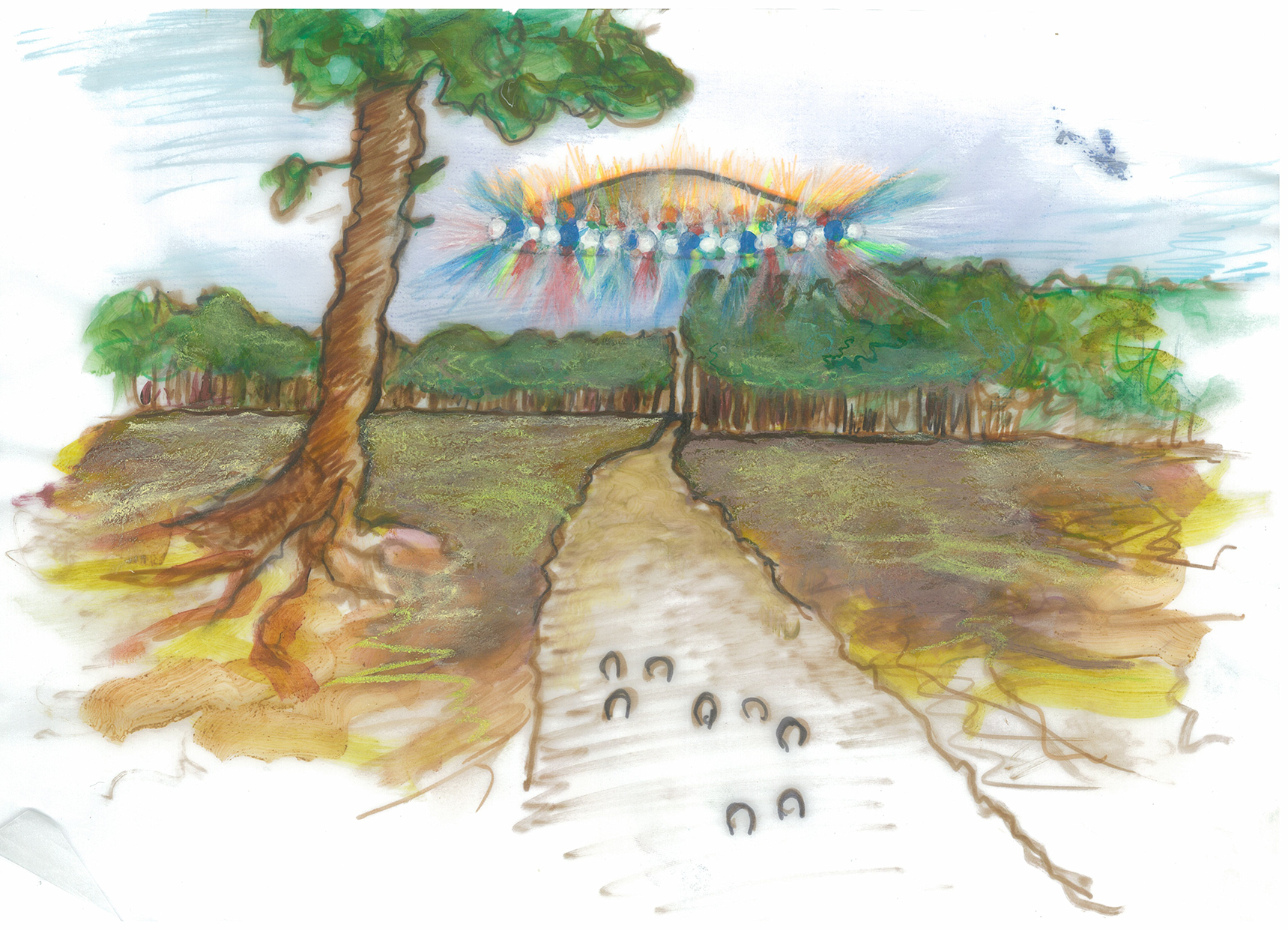 Ufo Leusderheide